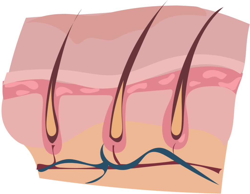 slog growing hair